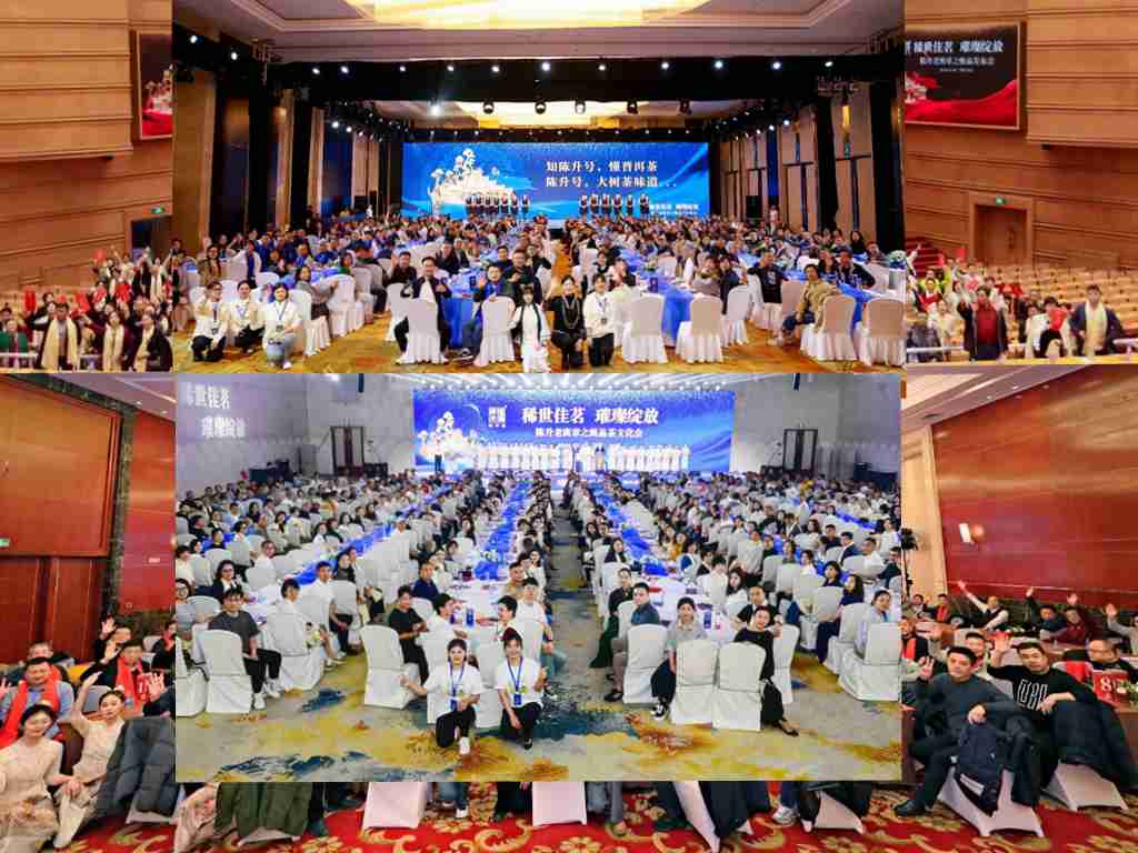 稀世佳茗“陳升老班章之甄品”，2024燃爆全國(guó)的茶文化盛宴